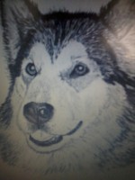 /album/fotogalerij/tekening-wolf-jpg1/